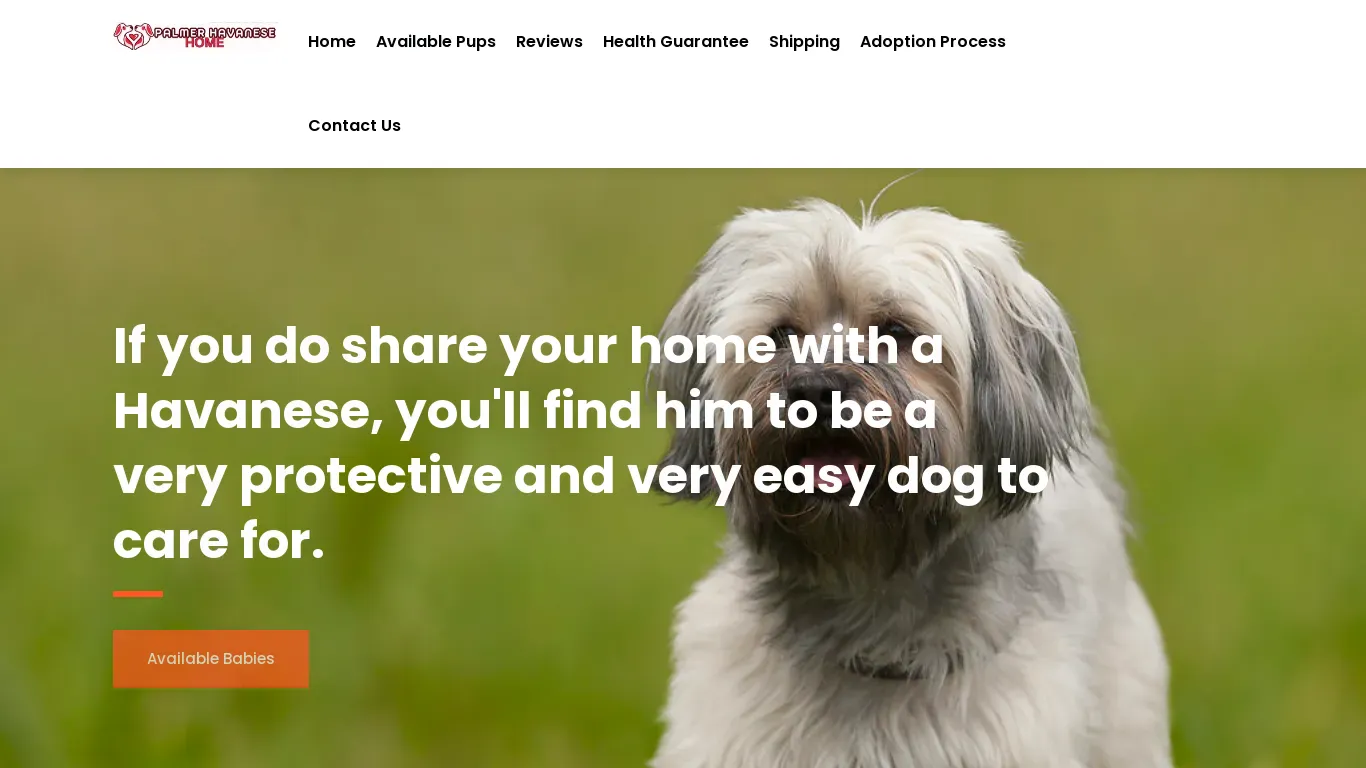 is Home | Palmer Havanese Home legit? screenshot