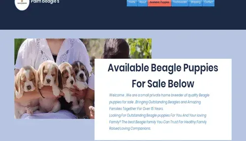 A screenshot of Genlanfamilystbernard.com