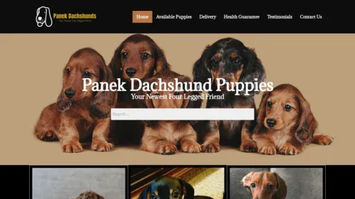 A screenshot of Panekdachshunds.com