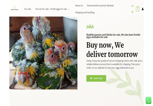is papagei-zu-verkaufen.com legit? screenshot