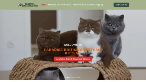 A screenshot of Paradisebritishshorthairkitten.com