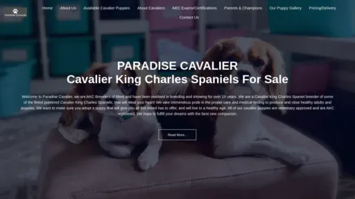 A screenshot of Paradisecavalier.com