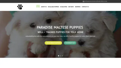 A screenshot of Paradisemaltesepuppies.com