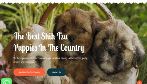 A screenshot of Genlanfamilystbernard.com