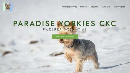 A screenshot of Paradiseyorkiesckc.com