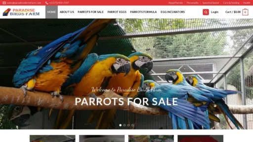 A screenshot of Paradissebirdsfarm.com