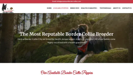 A screenshot of Paramountbordercollies.com
