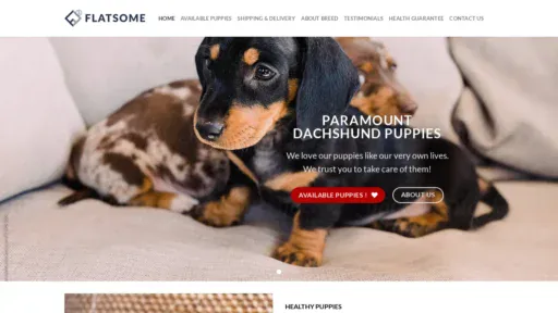 A screenshot of Paramountdachshundpuppies.com