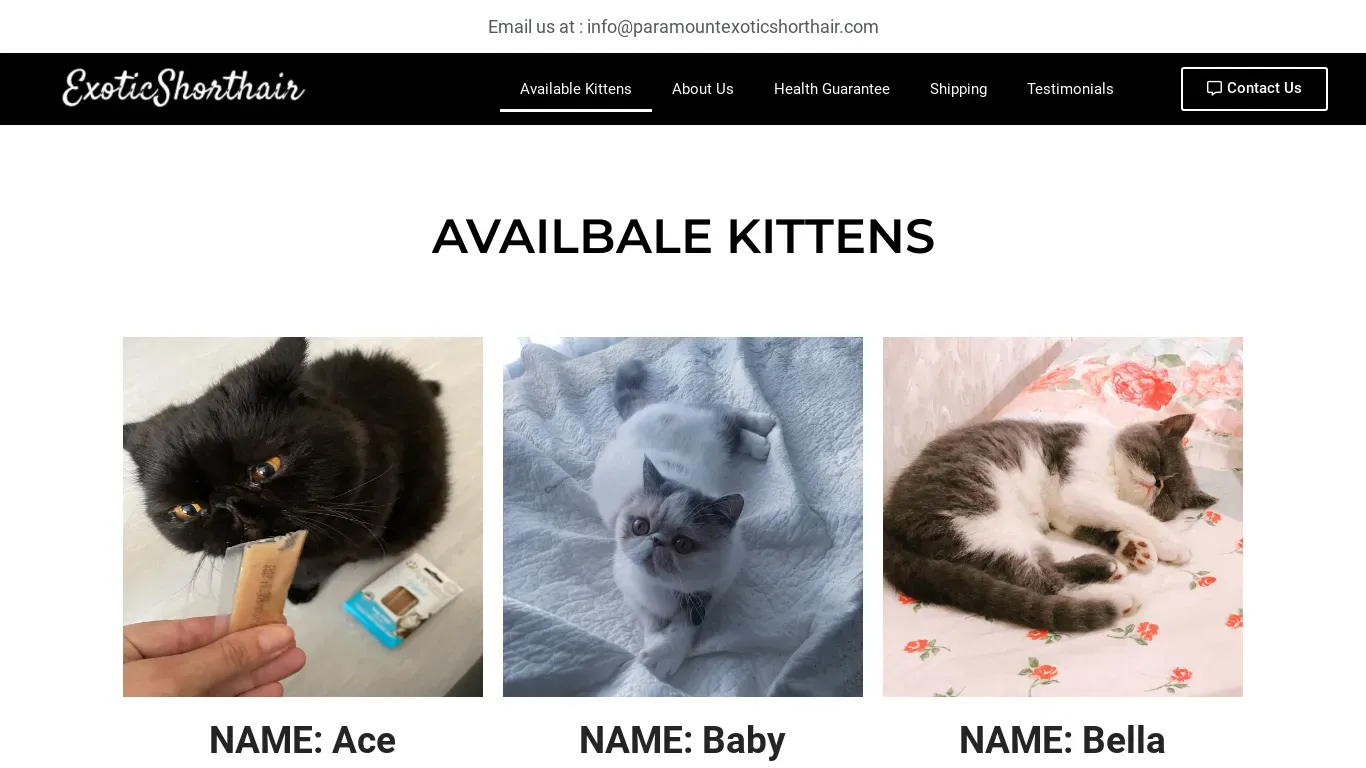is paramountexoticshorthair.com legit? screenshot