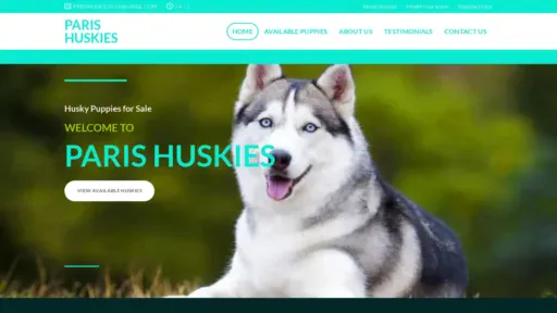 A screenshot of Parishuskies.com