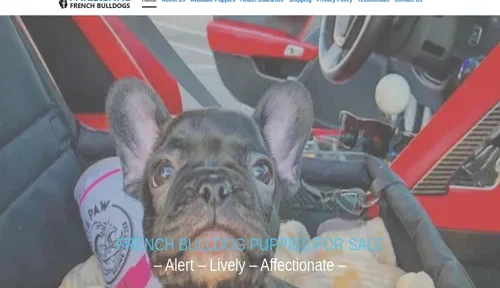 A screenshot of Genlanfamilystbernard.com