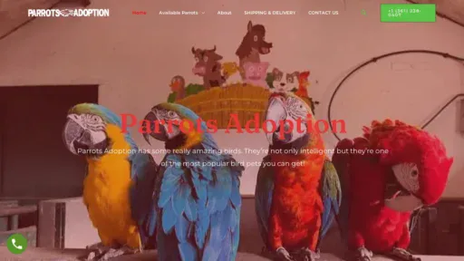 A screenshot of Parrotsadoption.com