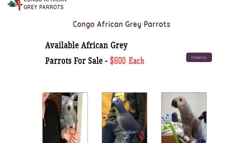 A screenshot of Genlanfamilystbernard.com