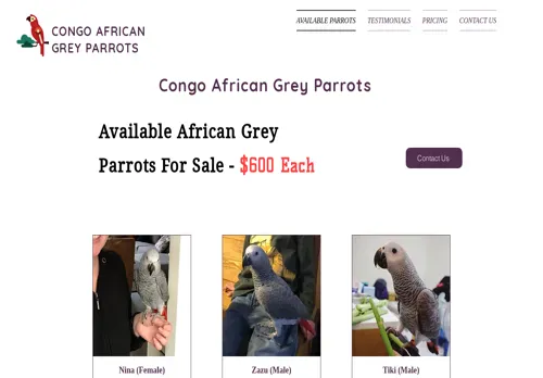 is parrotsalfahome.com legit? screenshot