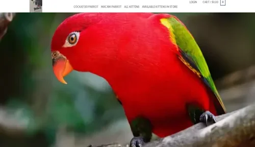 A screenshot of Genlanfamilystbernard.com