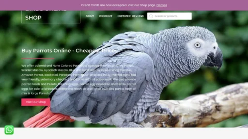 A screenshot of Parrotssaleonline.com