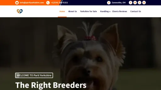 A screenshot of Partiyorkshire.com