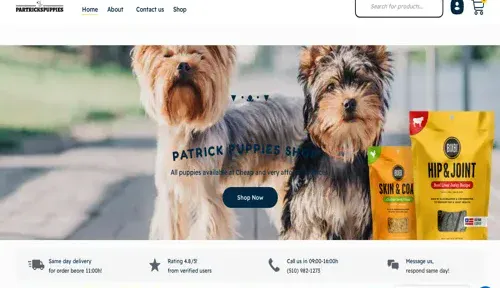 A screenshot of Genlanfamilystbernard.com