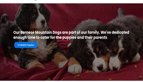 A screenshot of Genlanfamilystbernard.com
