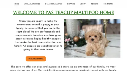 A screenshot of Pasteacupmaltipoo.com