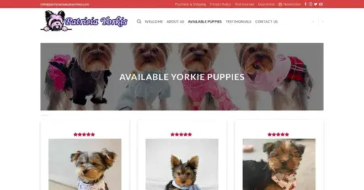 A screenshot of Genlanfamilystbernard.com