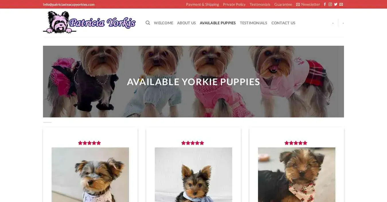 is patriciasteacupyorkies.com legit? screenshot