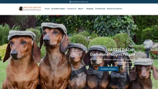 A screenshot of Pattisdachs.com