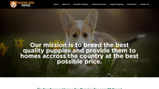 A screenshot of Pawsomecorgipuppies.com