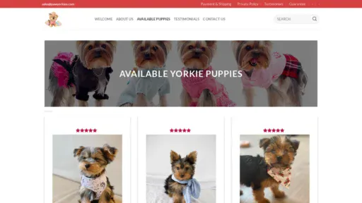 A screenshot of Pawyorkies.com
