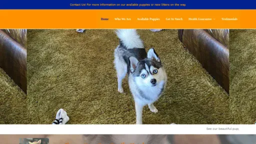 A screenshot of Peachestoypomskies.com