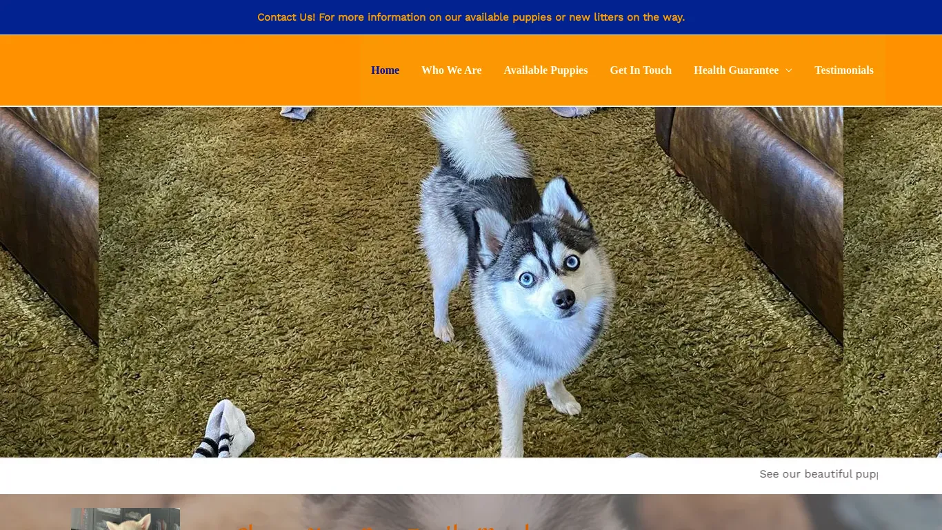 is peachestoypomskies.com legit? screenshot