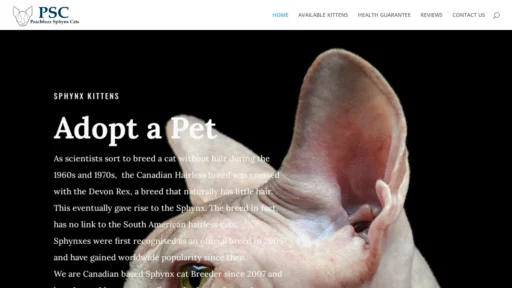 A screenshot of Peachfuzz-sphynxcats.com