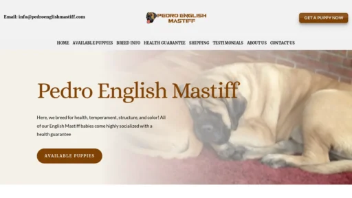 A screenshot of Pedroenglishmastiff.com
