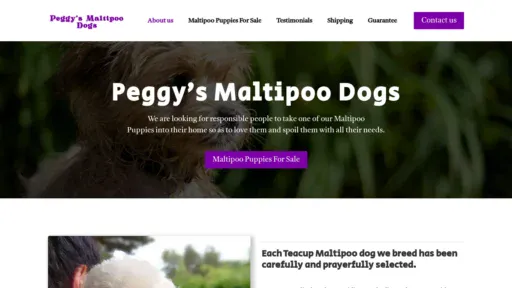 A screenshot of Peggymaltipoodogs.com