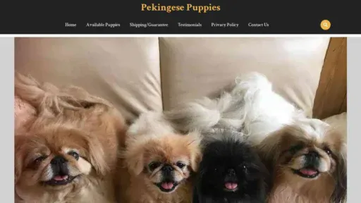 A screenshot of Genlanfamilystbernard.com