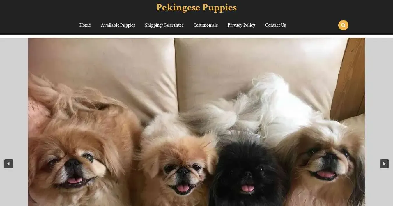 A screenshot of Genlanfamilystbernard.com