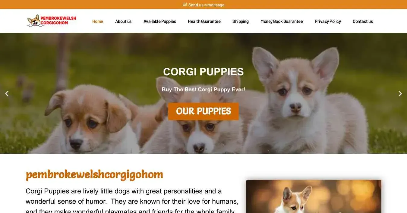 is pembrokewelshcorgigohom.com legit? screenshot