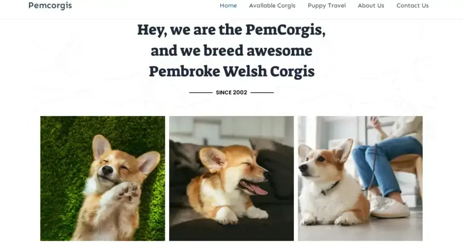 Is Pemcorgis.com legit?