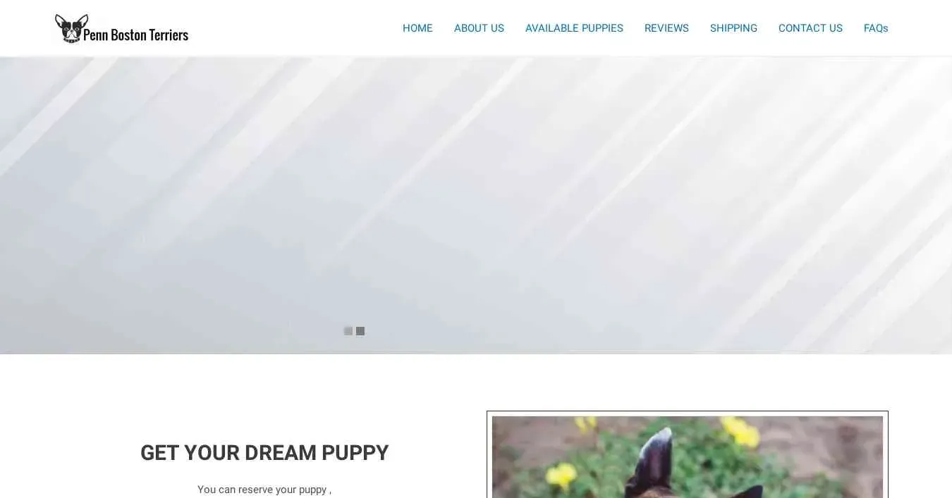 is pennbostonterriers.com legit? screenshot