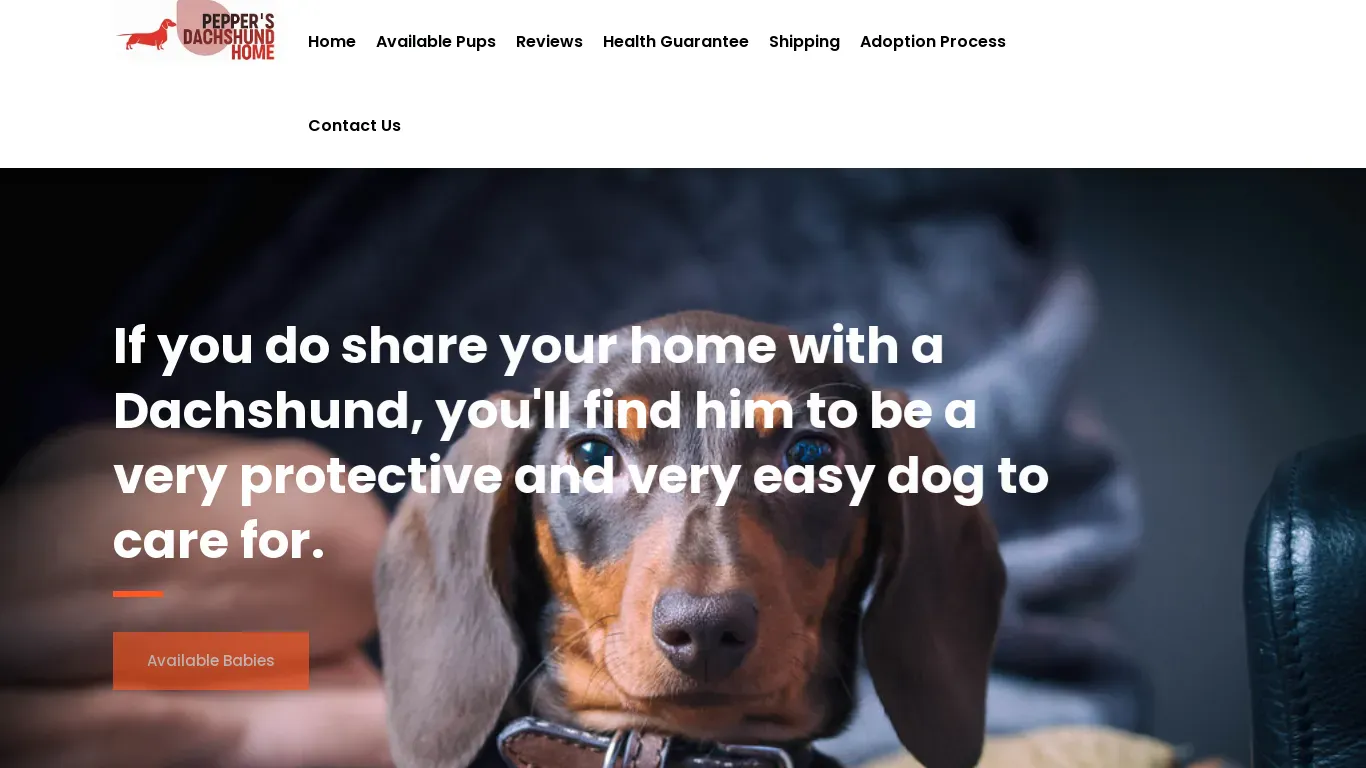 is peppersdachshundshome.com legit? screenshot