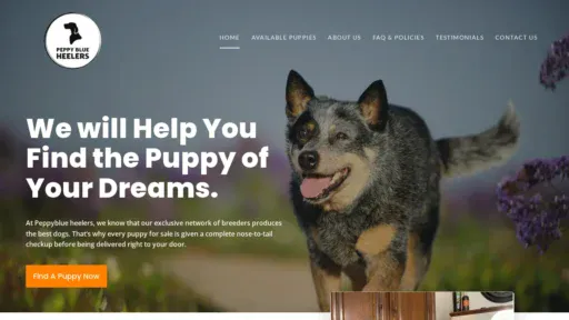 A screenshot of Peppyblueheelers.com