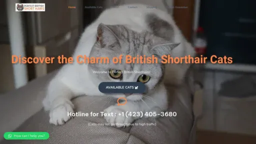 A screenshot of Perfectbritishshorthairs.com