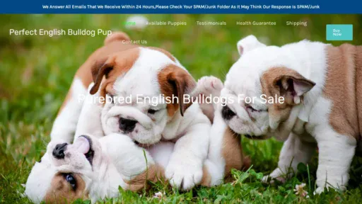 A screenshot of Perfectenglishbulldogpup.com