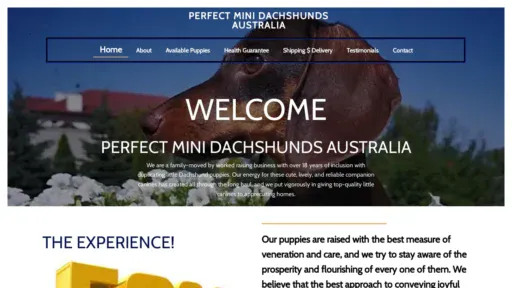 A screenshot of Perfectminidachshundsaustralia.com