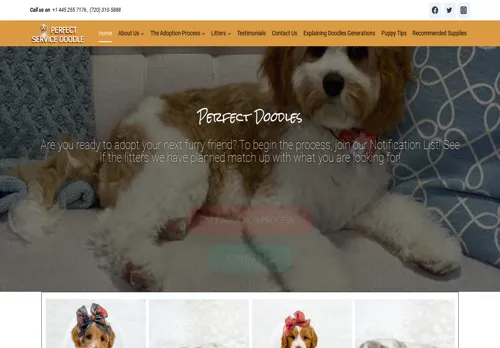 is perfectservicedoodle.com legit? screenshot