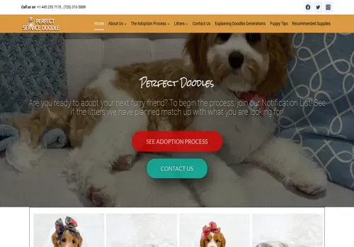 is perfectservicedoodles.com legit? screenshot