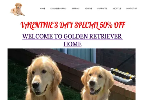is perkygoldenretrievers.com legit? screenshot