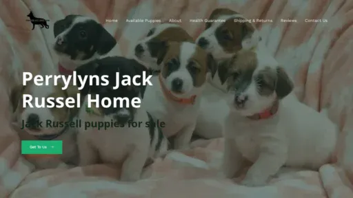 A screenshot of Perrylynsjackrusselhome.com