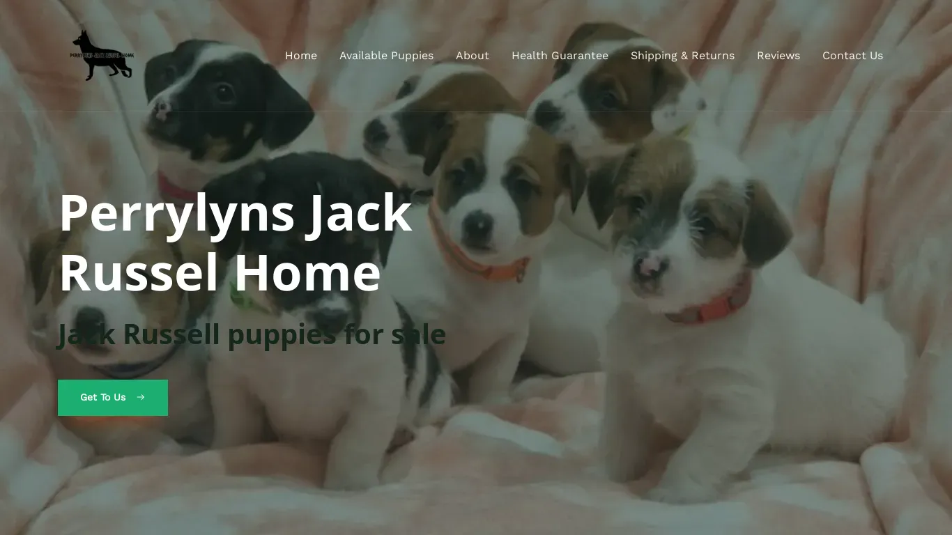 A screenshot of Perrylynsjackrusselhome.com