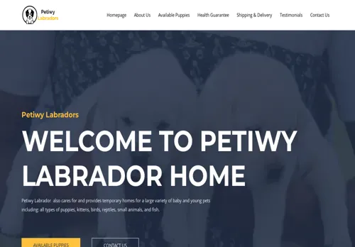 is petiwylabradors.com legit? screenshot